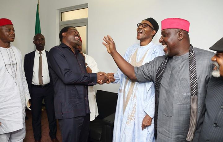 ndigbo leaders123 Rochas Okorocha, Ogbonnaya Onu Led Barth Nnaji Other Igbo Leaders To Buhari