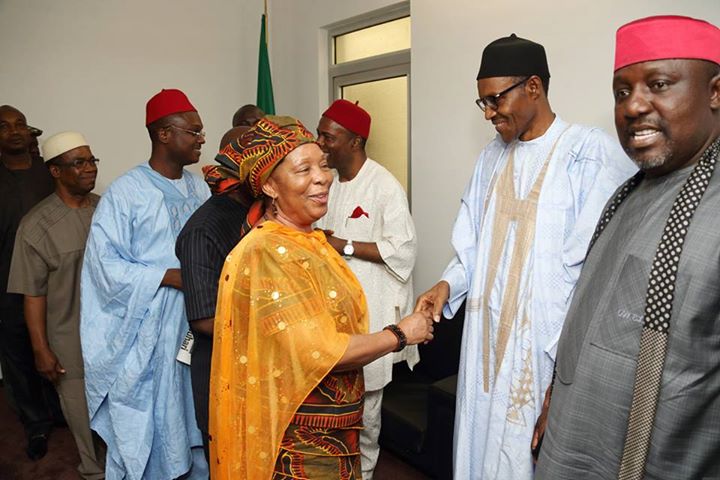 ndigbo leaders213 Rochas Okorocha, Ogbonnaya Onu Led Barth Nnaji Other Igbo Leaders To Buhari