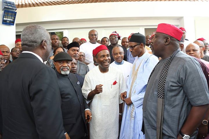ndigbo leaders22 Rochas Okorocha, Ogbonnaya Onu Led Barth Nnaji Other Igbo Leaders To Buhari